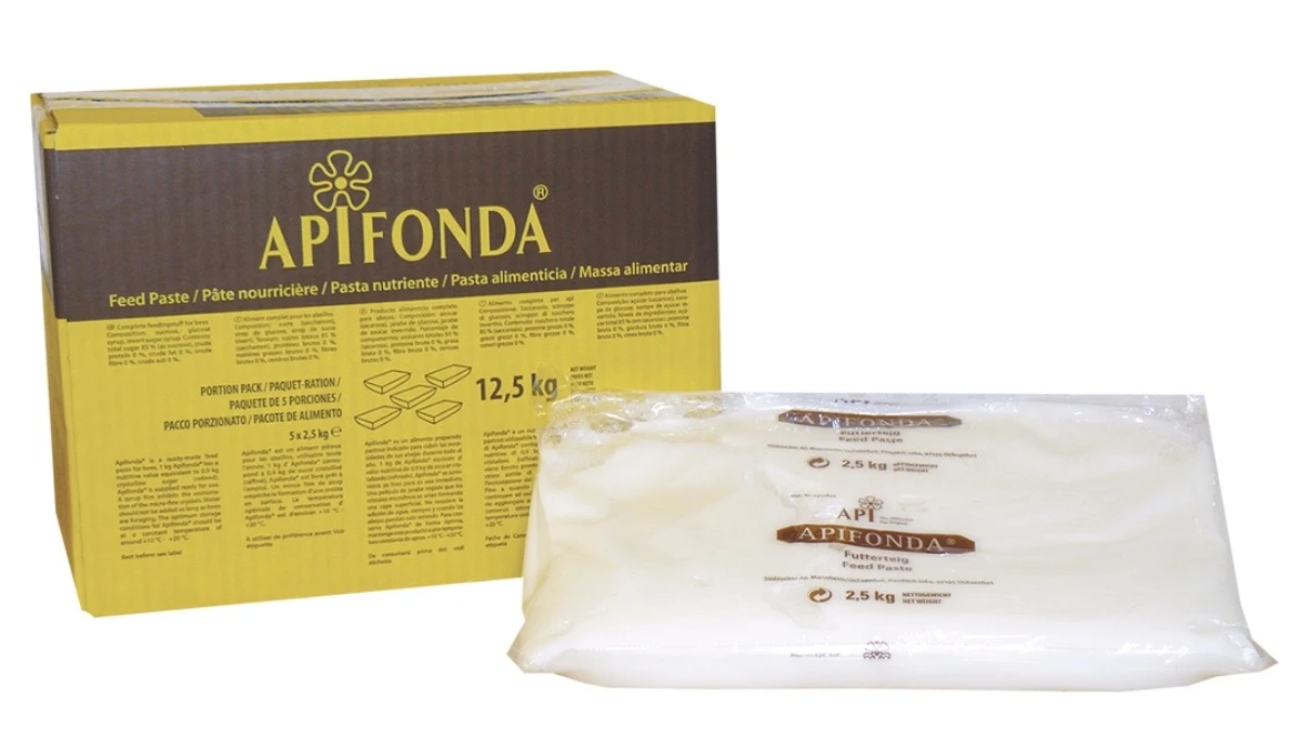 Candi APIFONDA